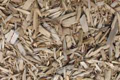 biomass boilers Cinnamon Brow